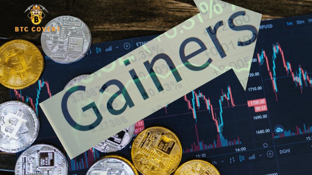 Crypto Market Gainers Understanding the Top Performers