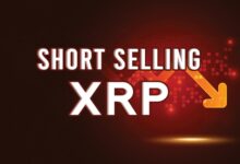 The Short Seller Gets REKT as XRP Rises 25% in 24 Hours