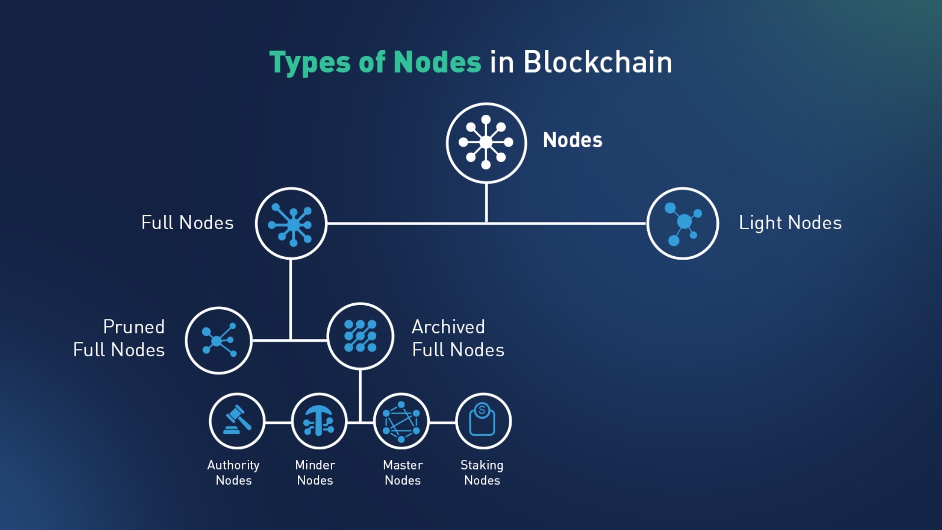 Types of Blockchain Nodes
