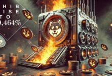 What Caused SHIB Burn to Rise 49,464%