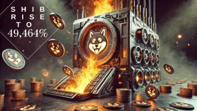 What Caused SHIB Burn to Rise 49,464%