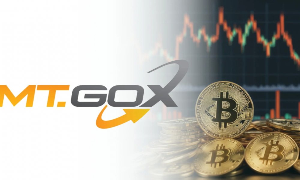 Mt. Gox Bitcoin Transfer