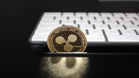 Ripple's RLUSD Dual Network