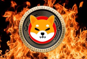 Shiba Inu Burn Rate