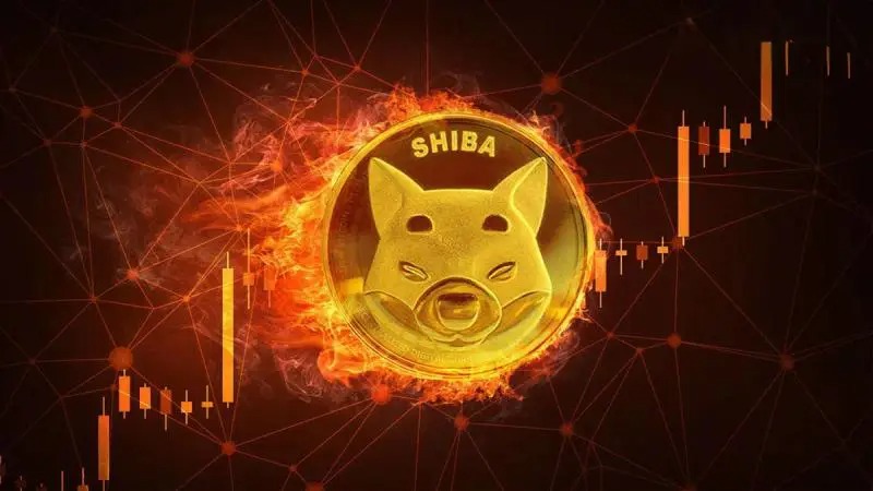 Shiba Inu Coin Burns