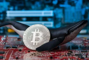 Bitcoin Whales Accumulate Post-Trump Inauguration