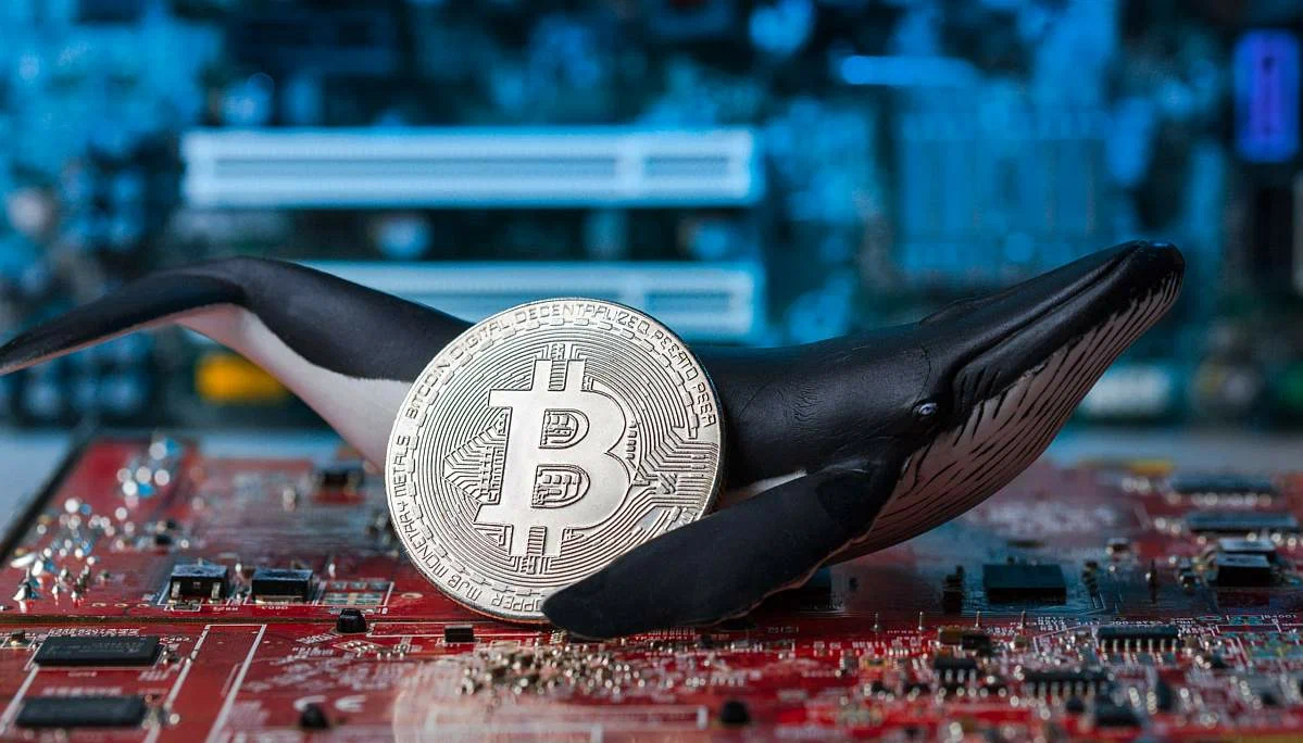 Bitcoin Whales Accumulate Post-Trump Inauguration