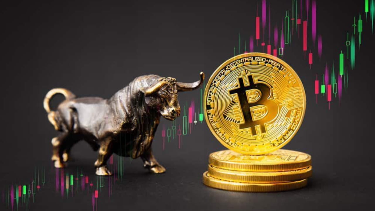 Bitcoin Bull 2025