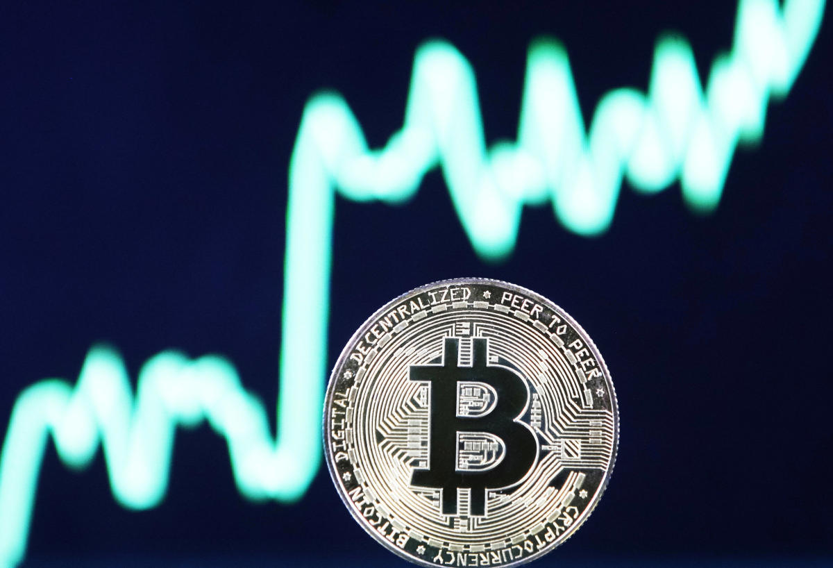 Institutional Investors Role Bitcoin’s Price Fluctuations