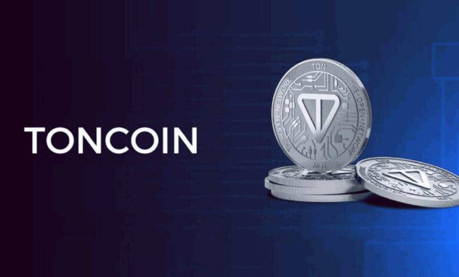 Toncoin Investors