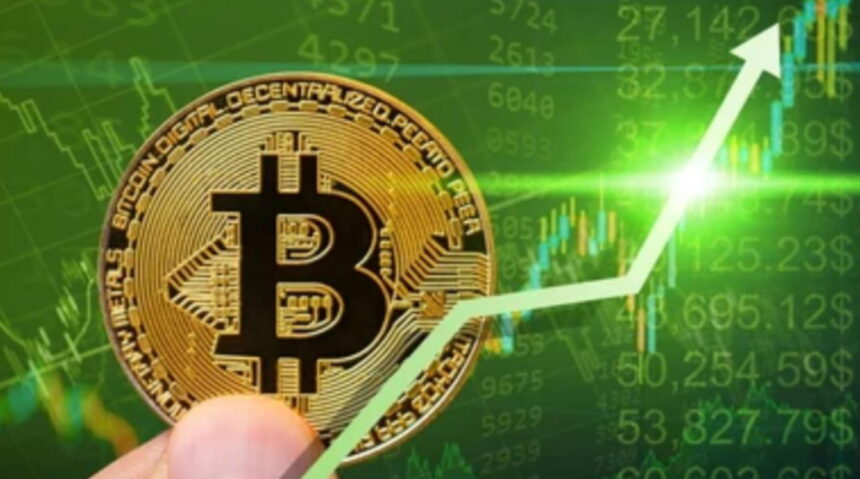 long term Bitcoin investment plan