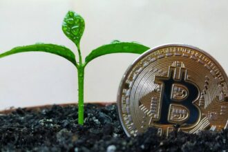 Bitcoin mining investment returns