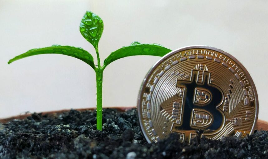 Bitcoin mining investment returns