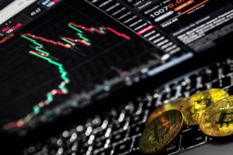 beginner bitcoin trading platform comparison