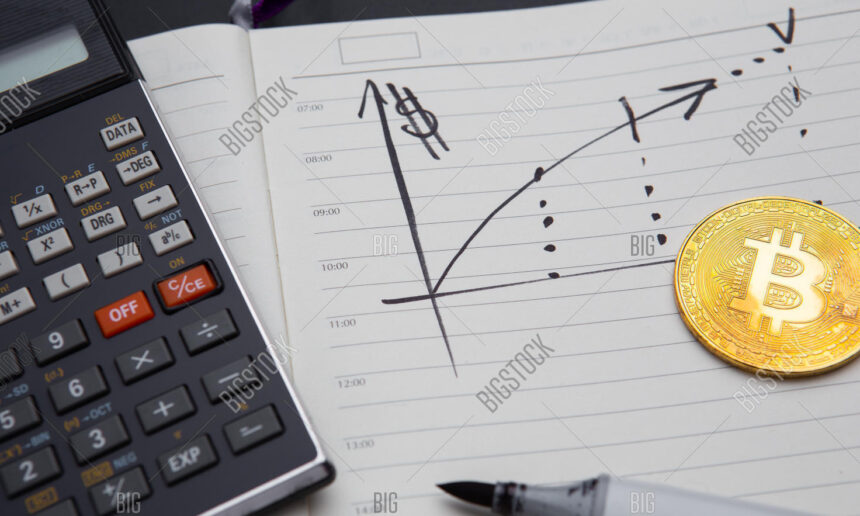 bitcoin investment calculator with returns