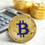 bitcoin investment calculator with returns