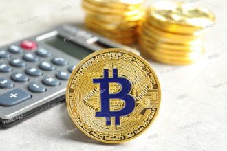 bitcoin investment calculator with returns