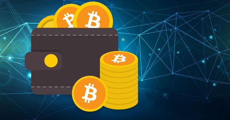 What Is a Bitcoin Wallet and How Does It Work?