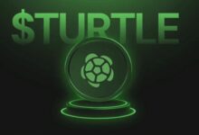 Turtle TURTLE Binance HODLer