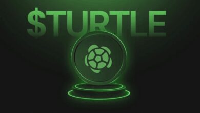 Turtle TURTLE Binance HODLer