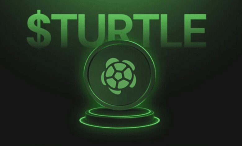 Turtle TURTLE Binance HODLer