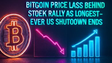 Bitcoin price lags behind stock rally as longest-ever US shutdown ends