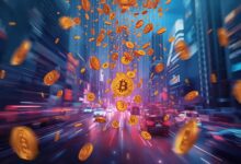 Token Airdrop Statistics