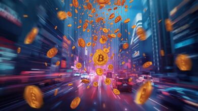 Token Airdrop Statistics