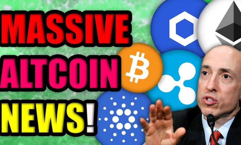 Altcoin News: ACT and BARD Lead Major Gains