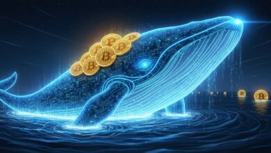 Bitcoin Whales Increase