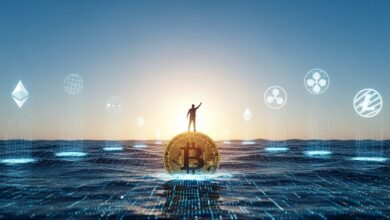 Crypto Market Recovery