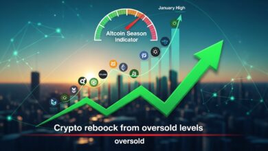 Crypto rebounds