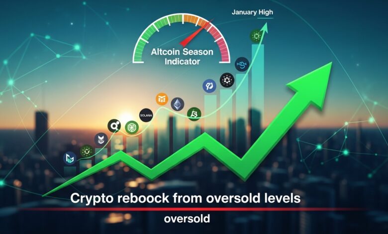 Crypto rebounds