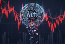 Altcoin Market Breakdown