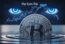 Bitcoin Dip Eyes
