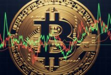 Bitcoin Price Volatility