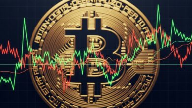 Bitcoin Price Volatility